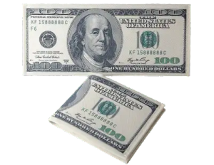 Dollar Bill Wallet